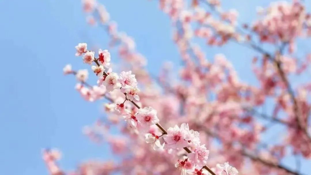 独家揭秘！凌晨1点街头牵手，某男星神秘女伴全程被qq吃瓜爆料群狗仔跟拍