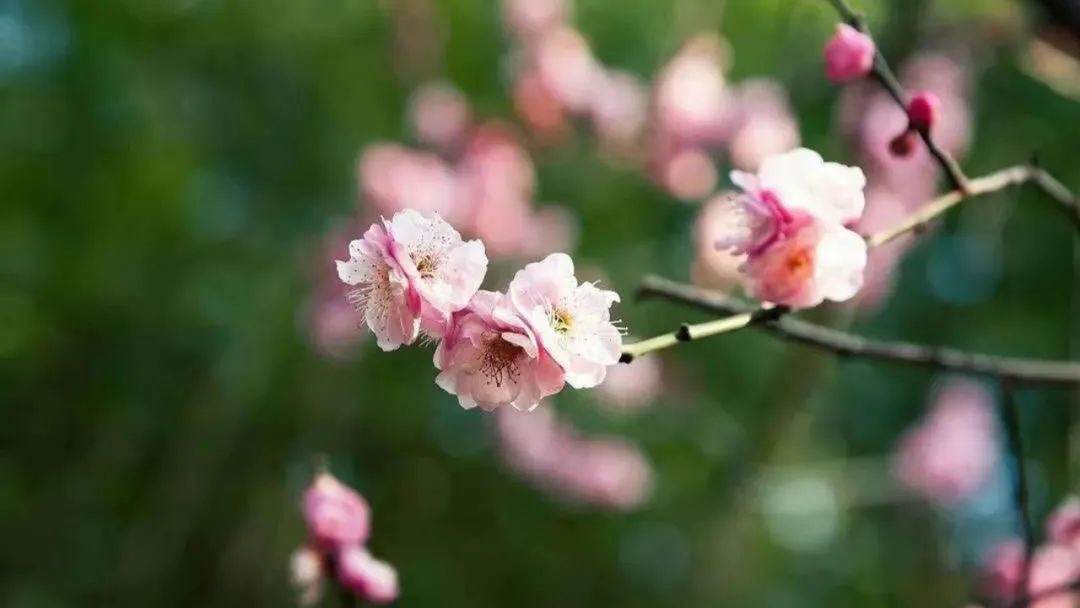 吃瓜群群号每日更新！娱乐圈“隐秘恋情”真相曝光，还是一场营销噱头？